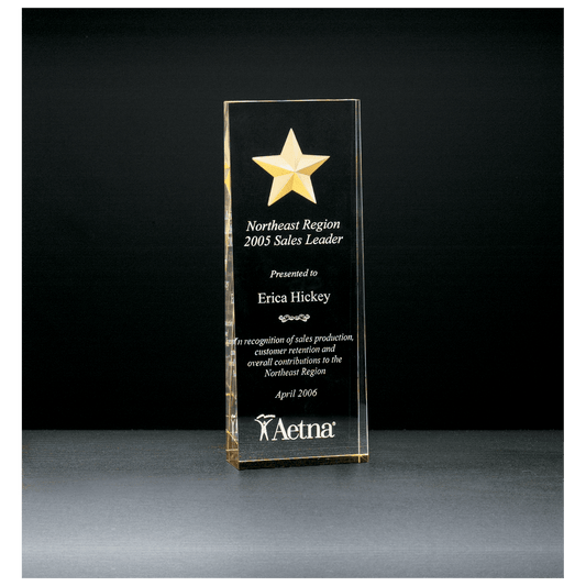 2 7/8" x 8" Constellation Series Etched Star with Gold Paint-Filled and Mirrored Bottom Acrylic