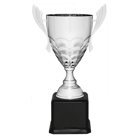 Silver Completed Metal Cup Trophy on Black Royal 21" Piano Finish Base