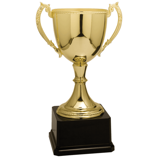 Gold 11" Completed Zinc Cup Trophy