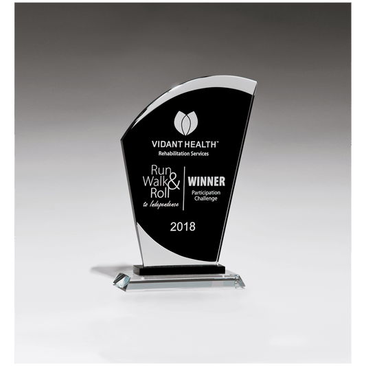 5 1/2" x 8 3/4" Sail Shaped Glass Award with Black Center