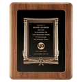 Walnut Frame w/Black Back/Antique Bronze Cast Frame/Black Brass 14" x 17" American Plate