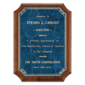Walnut Plaque with Gold 2 9" x 12" American Border Sapphire Marble LaserFX Plate