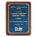 Walnut Plaque with Gold 8" x 10 1/2" American Border Sapphire Marble LaserFX Plate