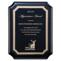 Black High Gloss Plaque with Black Gold 9" x 12" Florentine Border LaserFX Plate
